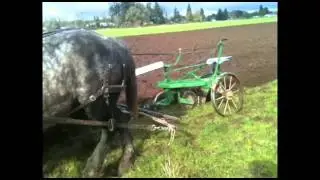 3 horse plowing with Joe (closest), Dick (middle), Jim