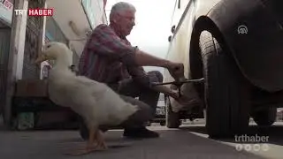 &Ouml;rdeğiyle dostluğu g&ouml;renleri şaşırtıyor