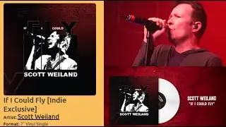 Вышла неизданная песня Скотта Вейланда &laquo;If I Could Fly&raquo;