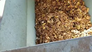 Pecan shelling machine, how it works and what it looks like