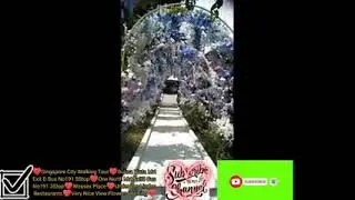 BuonaVistaMrt ExitD Bus191 5Stop&hearts;OneNorthMrt ExitB Bus 191 3Stop&hearts;Wessex Place&hearts;Very Nice View Flowers
