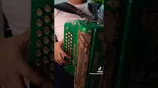 Edward Maya - Stereo Love | Accordion| | live play #liveplay #stereolove #edwardmaya #accordion