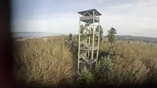 🐲The Little Wood Tower🔝