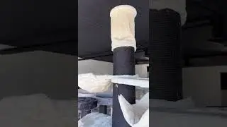 Maine Coon Tower Blackline Crown - RHR PETS
