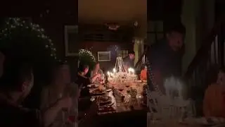 Cat Jumps on Chandelier &rarr; Total Dinner Table Chaos! 😹💥