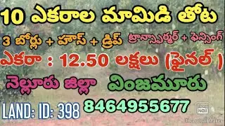 10 ACRES OF MANGO FARM LAND FOR SALE. NELLORE (DT). VINJAMUR. (AP). PH. NO.8464955677. LAND: ID:398.