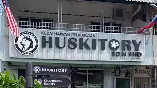 Huskitory Visit