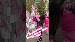 BREAST CANCER WALK 2025: CENTRAL PARK 💓💓 #breastcancer #nyc #viral #centralpark