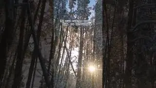 4 февраля 2024 г.