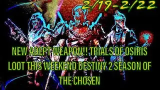 NEW ADEPT WEAPON!!!! | GREAT TRIALS REWARDS THIS WEEK | Destiny 2 Season of the Chosen Trails Loot