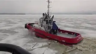 Damen Ice Class Tugs