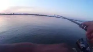 Tailwalk Backhoo Rise ML
