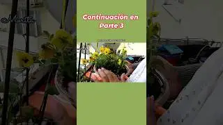 Proyecto en el Jard&iacute;n 🙏🌹 Reciclar porque todo Vale 🙏🤞 Parte 2