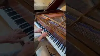 #Bach, #Beethoven, #Chopin, #Mozart, #ClassicalMusic, #Piano, #Orchestra, #Opera, #ChamberMusic