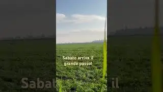 Caccia alle allodole #caccia #hunting #allodola #perte #trend #viral #nature #perte
