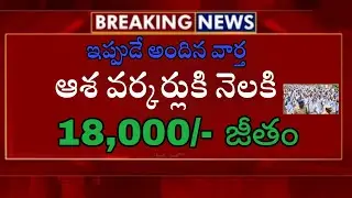 asha workers Salary increase | Andhra Pradesh| Telangana| latest news ap| election 2024