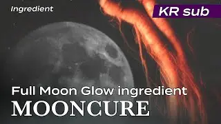 [MOONCURE][문큐어][성분][KR] 