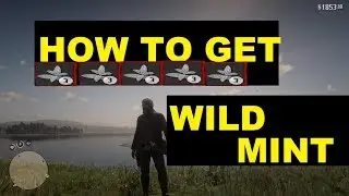 How to get wild mint herb (Location) Red dead redemption 2