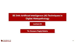 BE544: Artificial Intelligence (AI) Techniques in Digital Histopathology (Spring 2026) - Lecture 03A