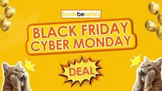 Bird-Safe Cat Collar Covers + FREE Cat Bowl | Birdsbesafe BFCM Deal
