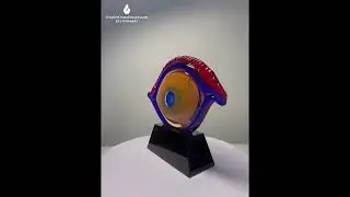 Multi-colored Art Glass Eye Award | Hand Blown Art Glass Eye Sculpture Award | Art Glass Eye Trophy