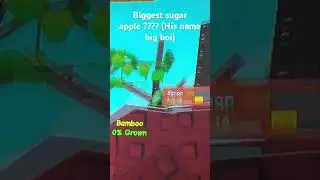 Justice for big boi