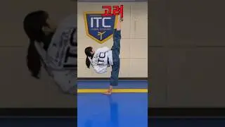 Koryo Poomsae | Taekwondo #shorts