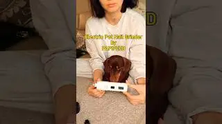 This makes it easy to trim your dogs nails! 👀🐶 #dog #shorts