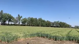 CIAE Drone Imaging - Precision Agriculture