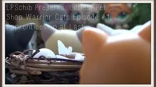 LPS: Warrior Cats #1 - Apprenticeship At Last
