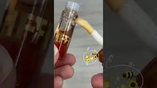 O LipHoney da Fran &eacute; mais do que s&oacute; um gloss ✨🍯