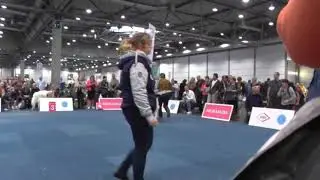 WDS2017 - Pyrenean Mountain Dog - Male - Open class