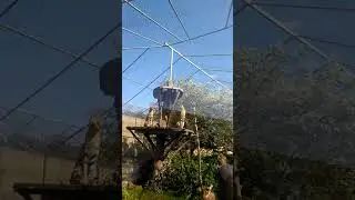 malkia park-ocelot