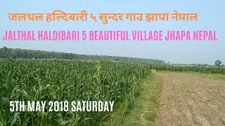 Jalthal Haldibari 5 Green Beautiful Village Of Jhapa Nepal