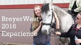 BreyerWest Experience