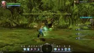 Dragon Nest Sea Lvl 60 Destroyer Solo Abn