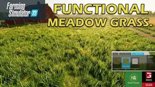 FS 22 Meadow Grass, Planting FS22 Meadow Grass.