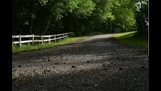 Tranquil Fields and Forests: Soothing Countryside Scenes
