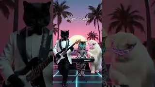 POV: You are in a Retro Japan City Pop Party with Metro Cats #shorts #tokyo #citypop #80s