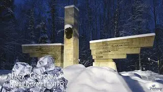 Парк &laquo;Сосновка&raquo;. Раннее зимнее утро (2026)