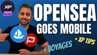 Opensea Is Going Mobile First &ndash; XP Rewards, Voyages & Rally Acquisition Explained