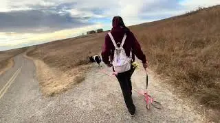 Nose hill park 