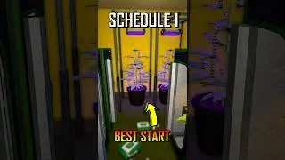 BEST Schedule 1 Start Strategy In 60 Seconds