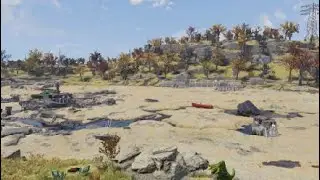 New camp for the new year