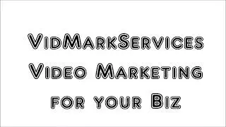 VidMarkServices/videos for your business/video ads