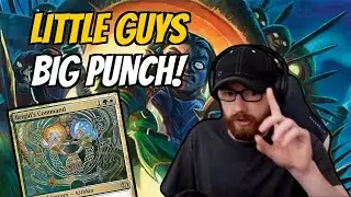 These Little Guys Pack a Big Punch!
