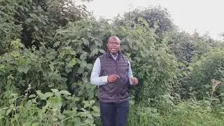 nîkîgîtûmaga anake arîo menje irîma rîagûthika kîimba?.