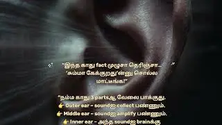 &ldquo;காது சும்மா கேக்குறது இல்ல&hellip; Full Safety System! 👂🔥 | Tamil Science Facts&rdquo;