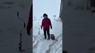 РОТАН ЗАЩЕКАН. РЕДКИЙ ХИЩНИК!