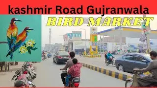 MR.WALKER | BIRDS MARKET | KASHMIR ROAD | GUJRANWALA PAKISTAN